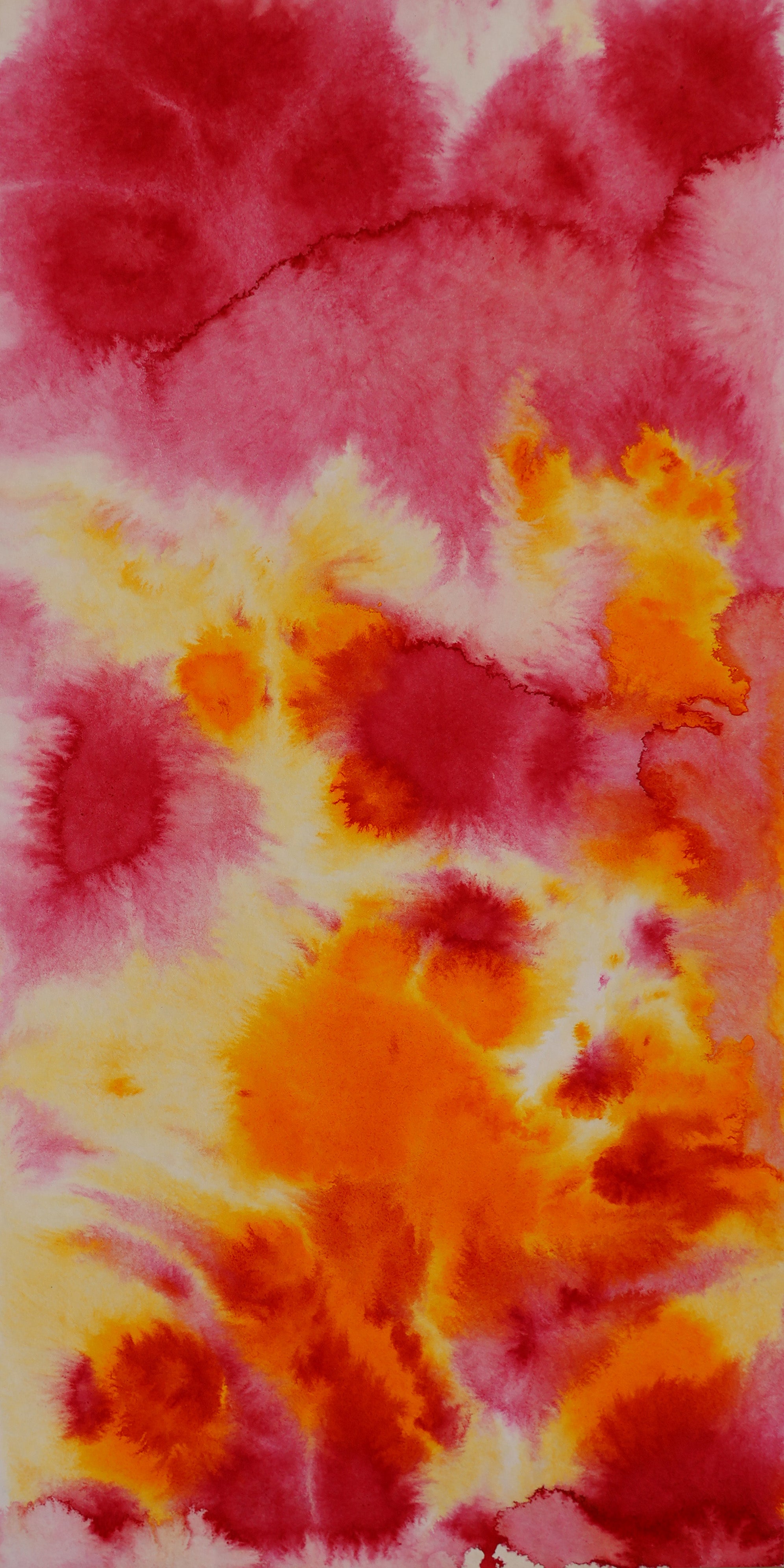 Abstract 51