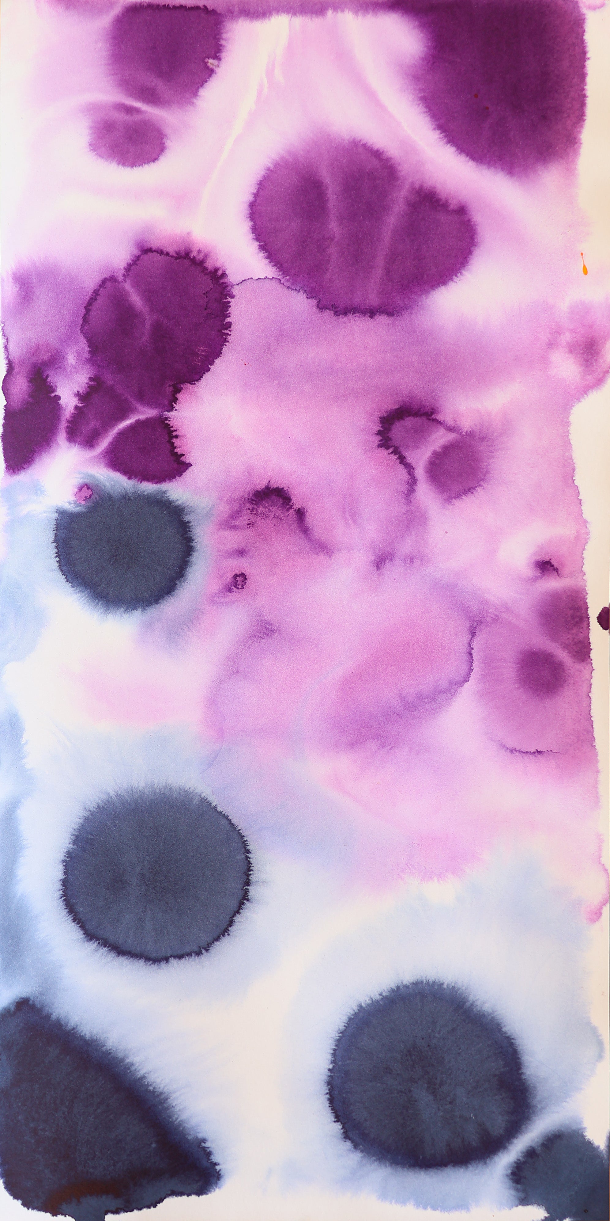 Abstract 54