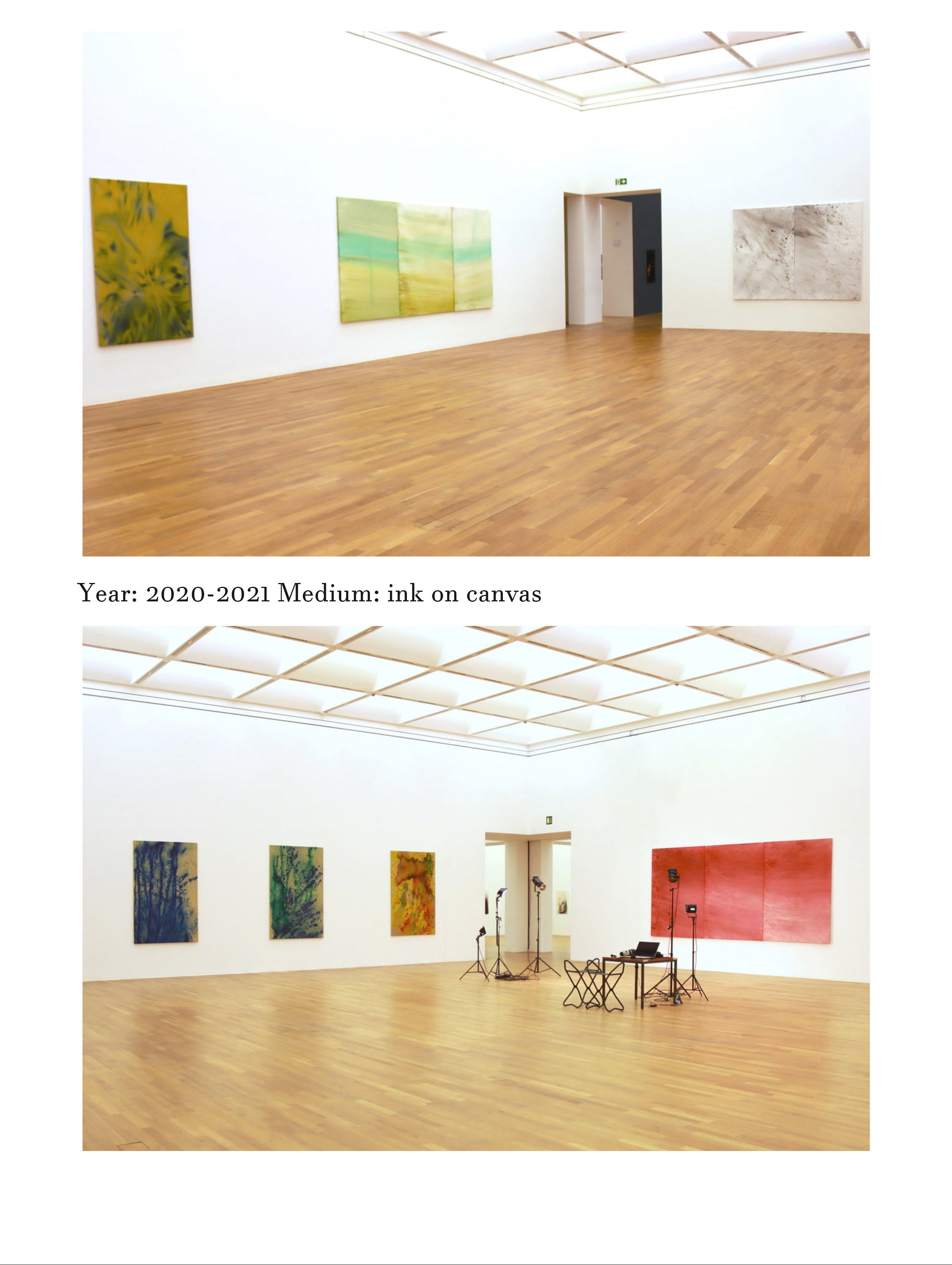 Artwork by Shayan Afshari Azad - Art Museum Bonn