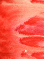 Abstract 26