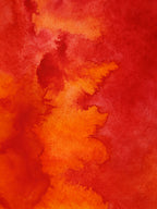 Abstract 29