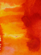 Abstract 29
