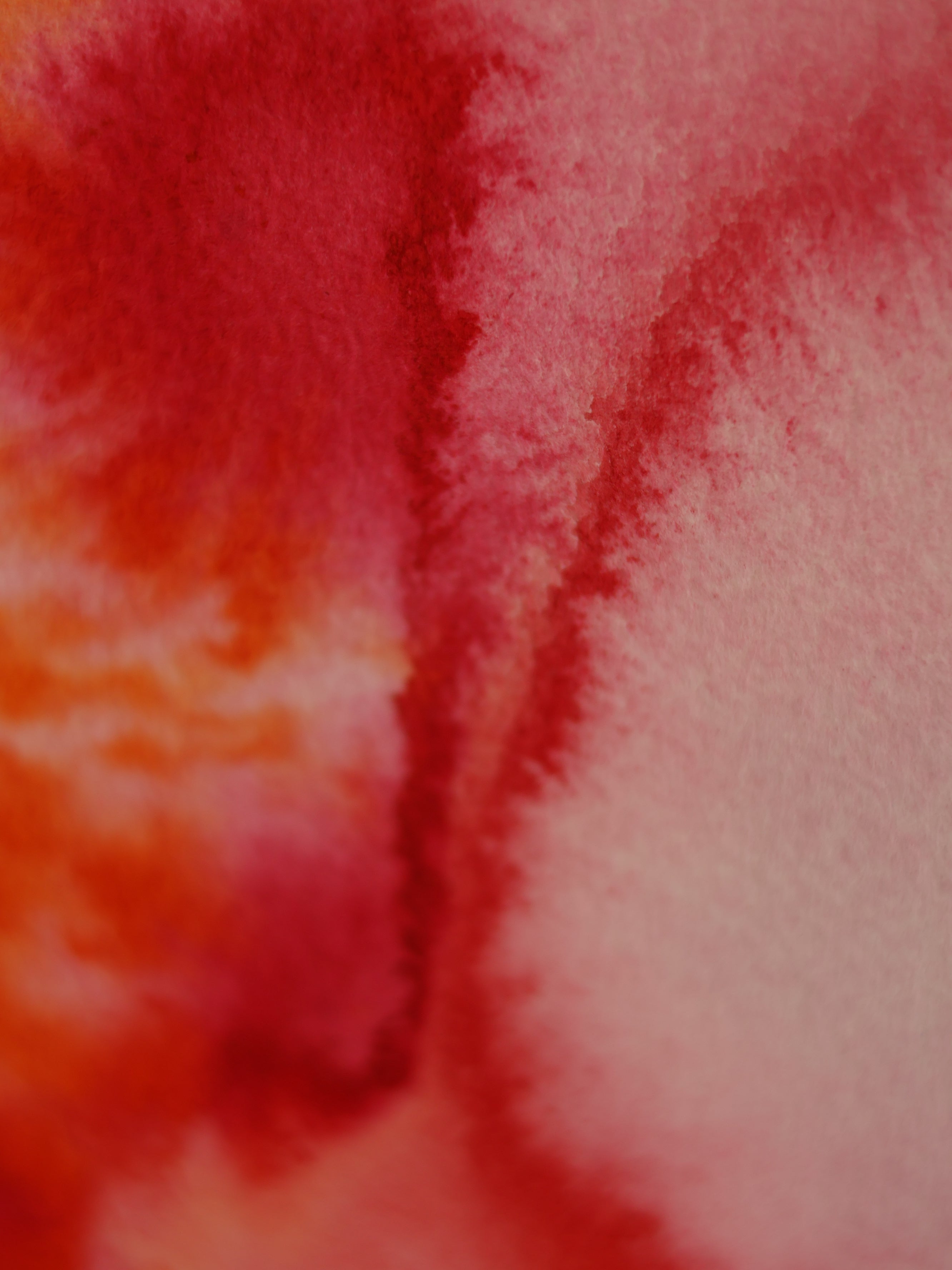 Abstract 32