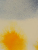 Abstract 34