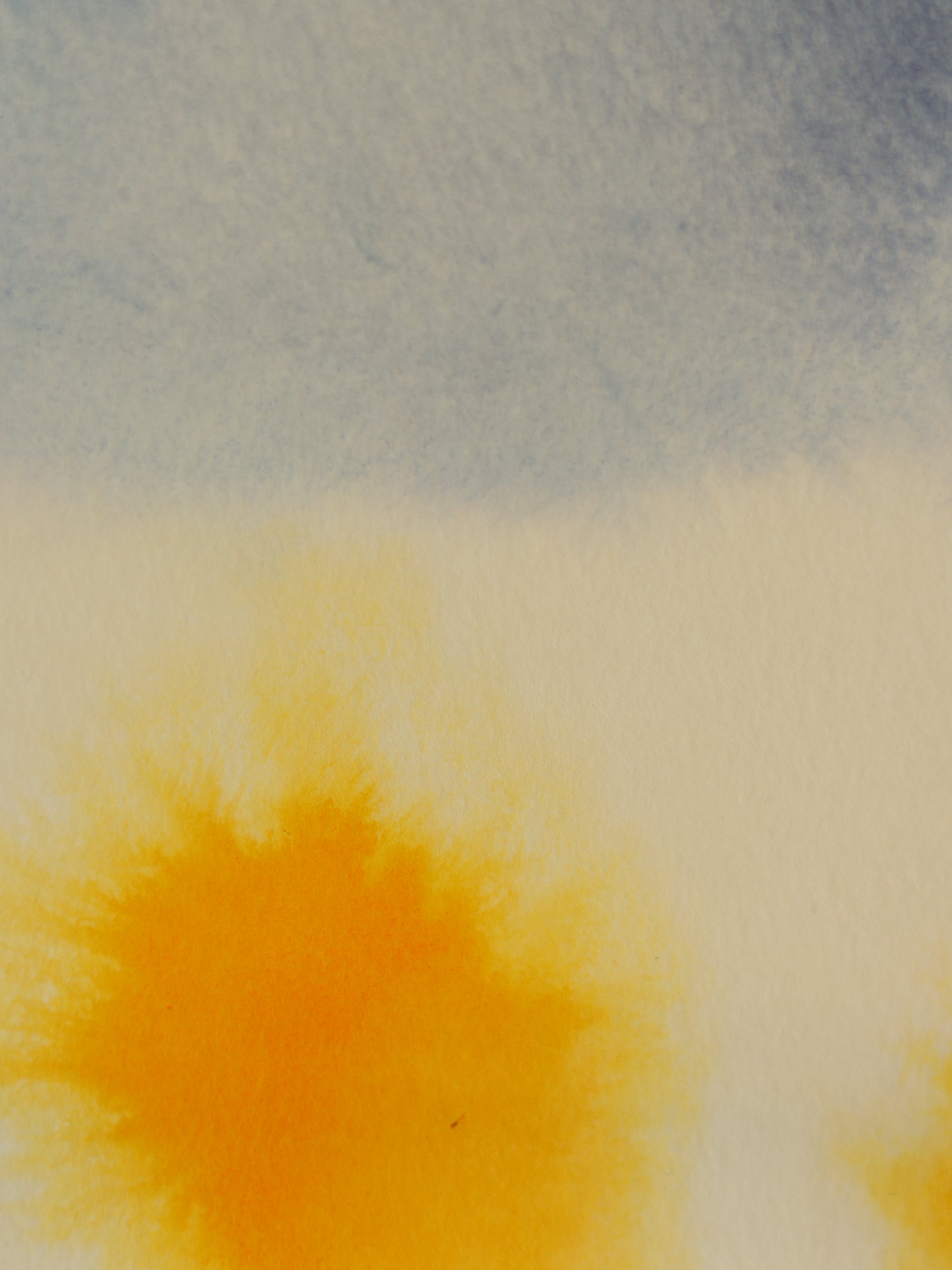Abstract 34