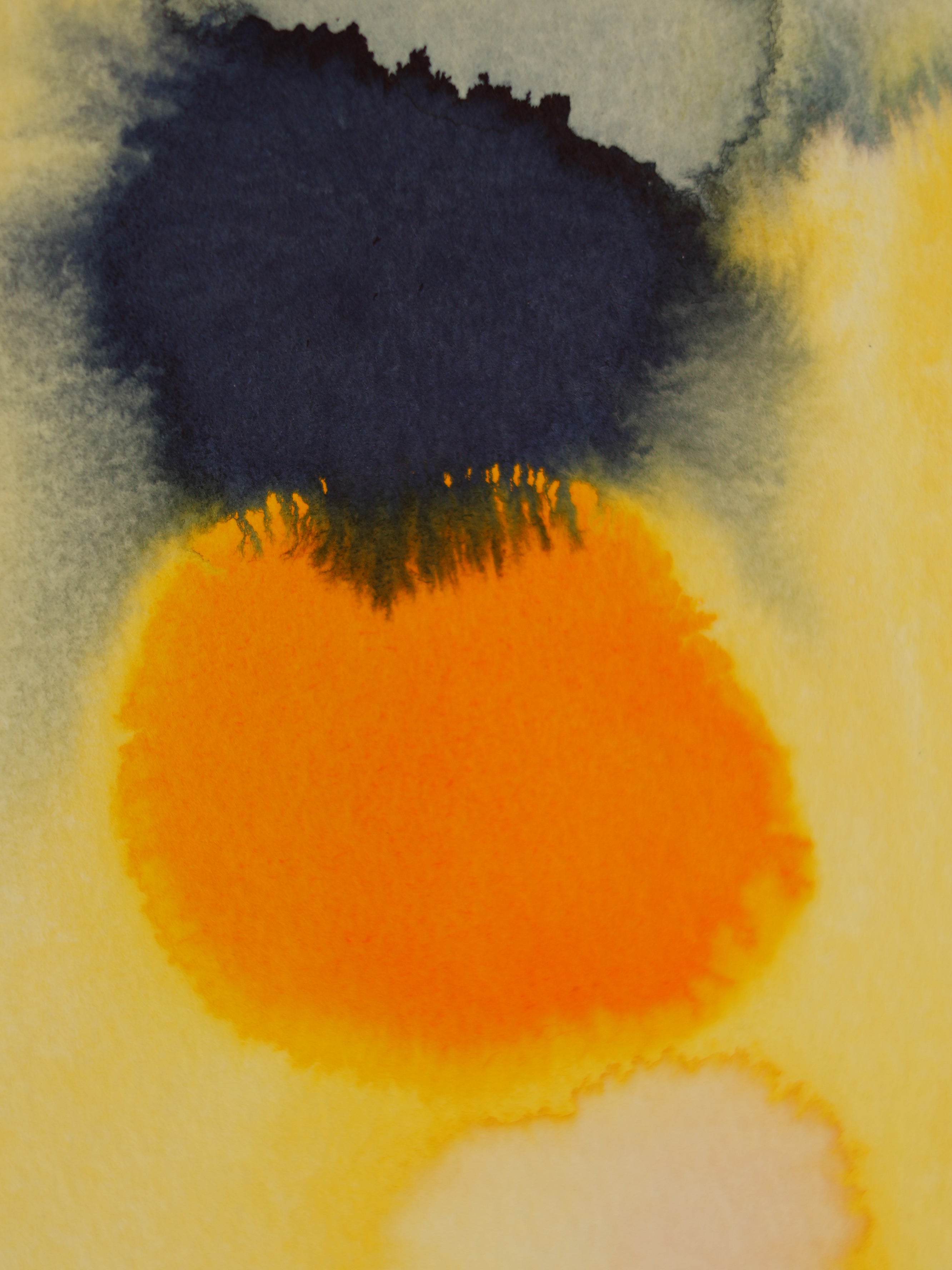 Abstract 34