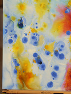 Abstract 36