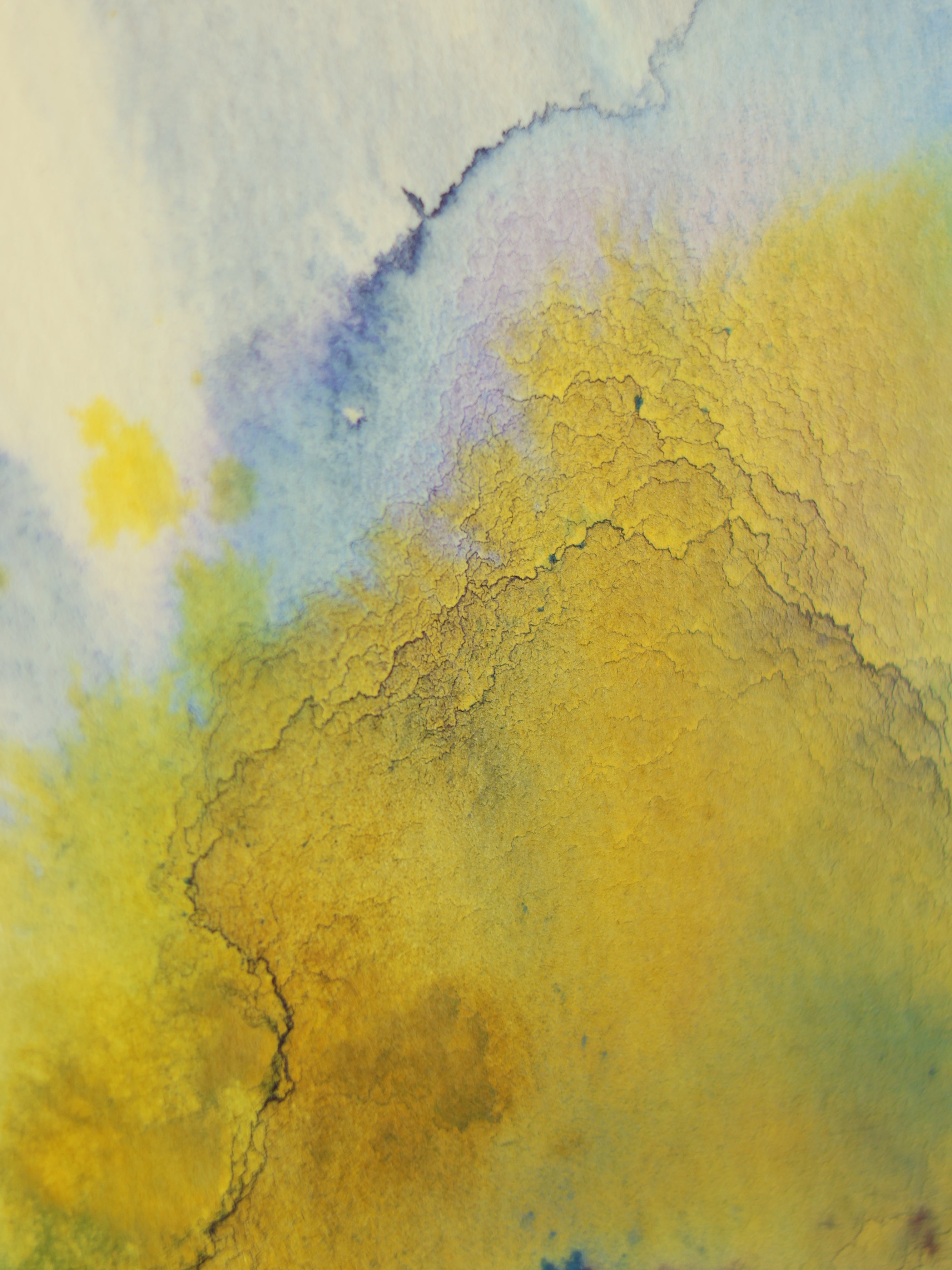 Abstract 36