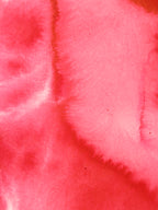 Abstract 37