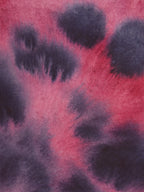 Abstract 38