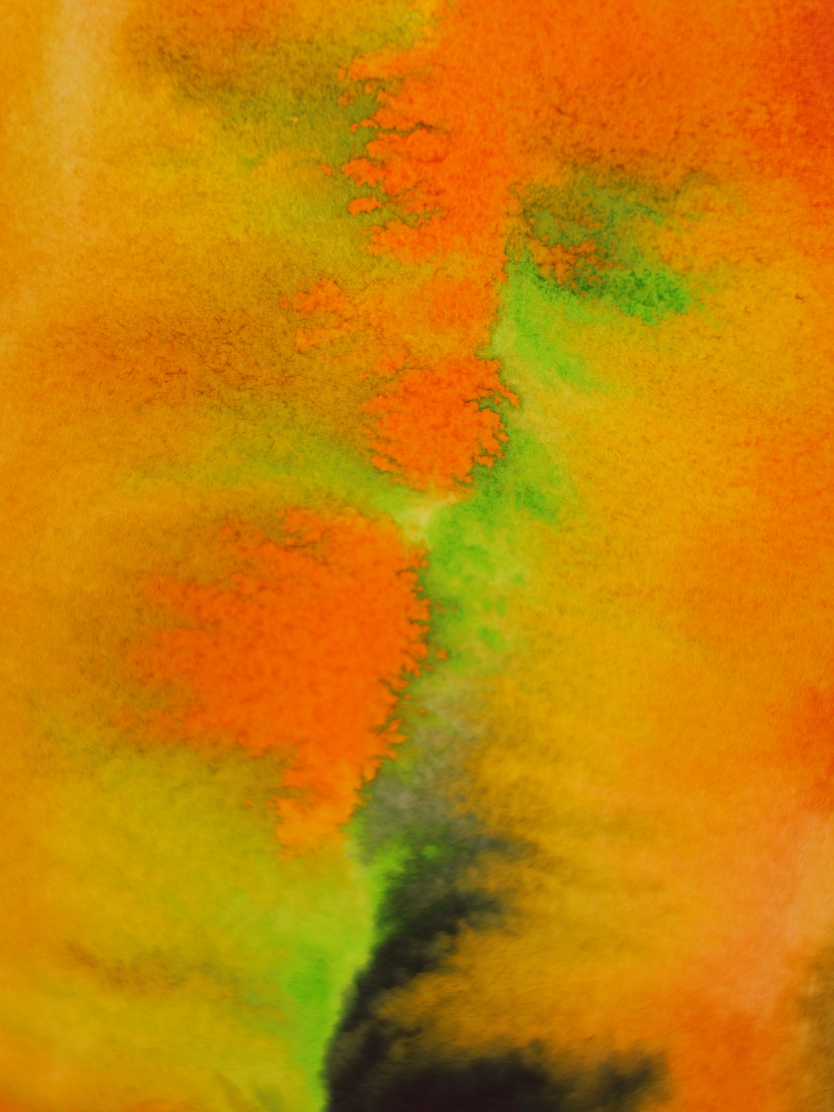 Abstract 40