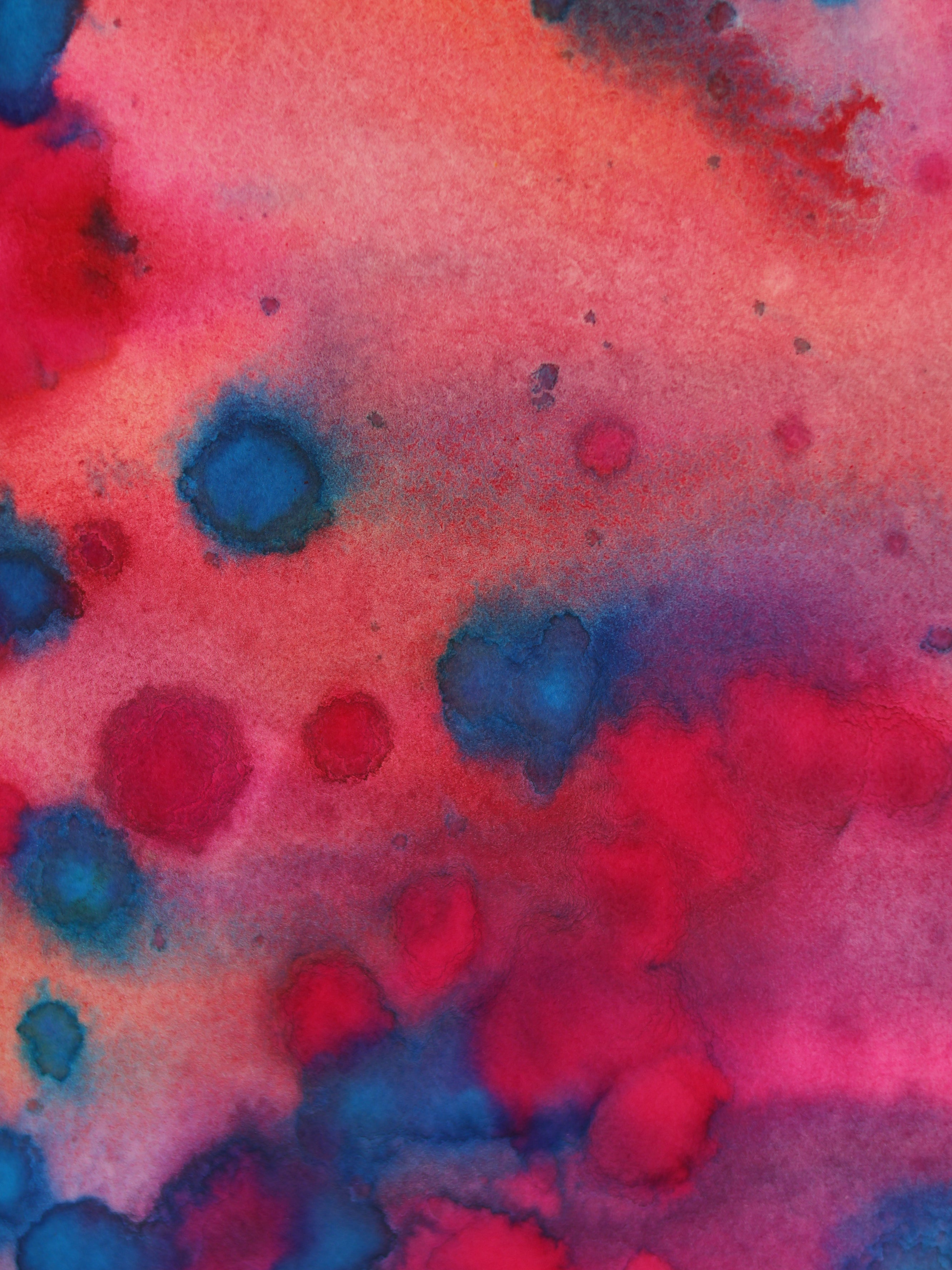 Abstract 41