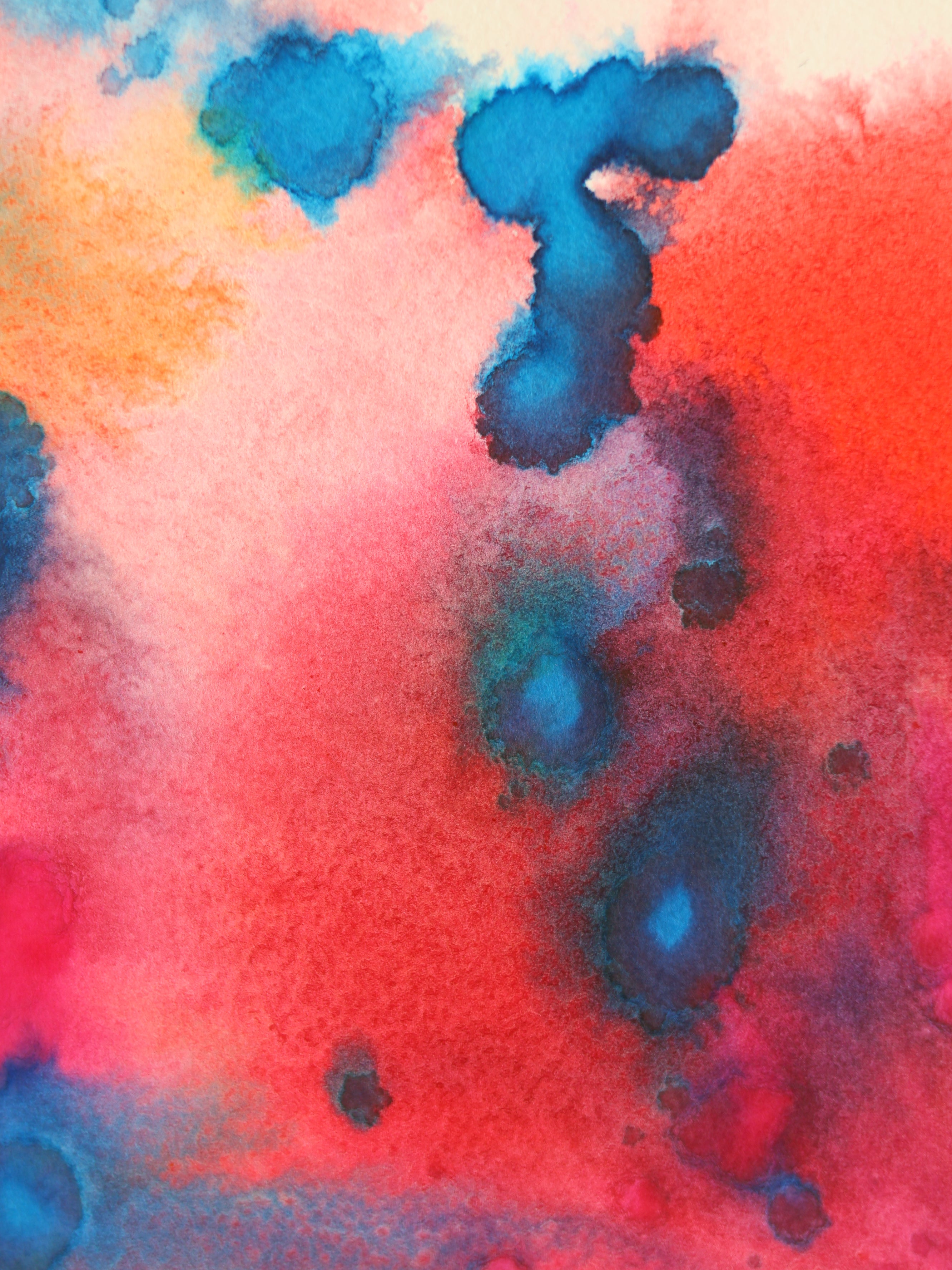 Abstract 41