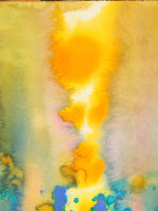 Abstract 43