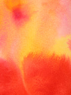 Abstract 43