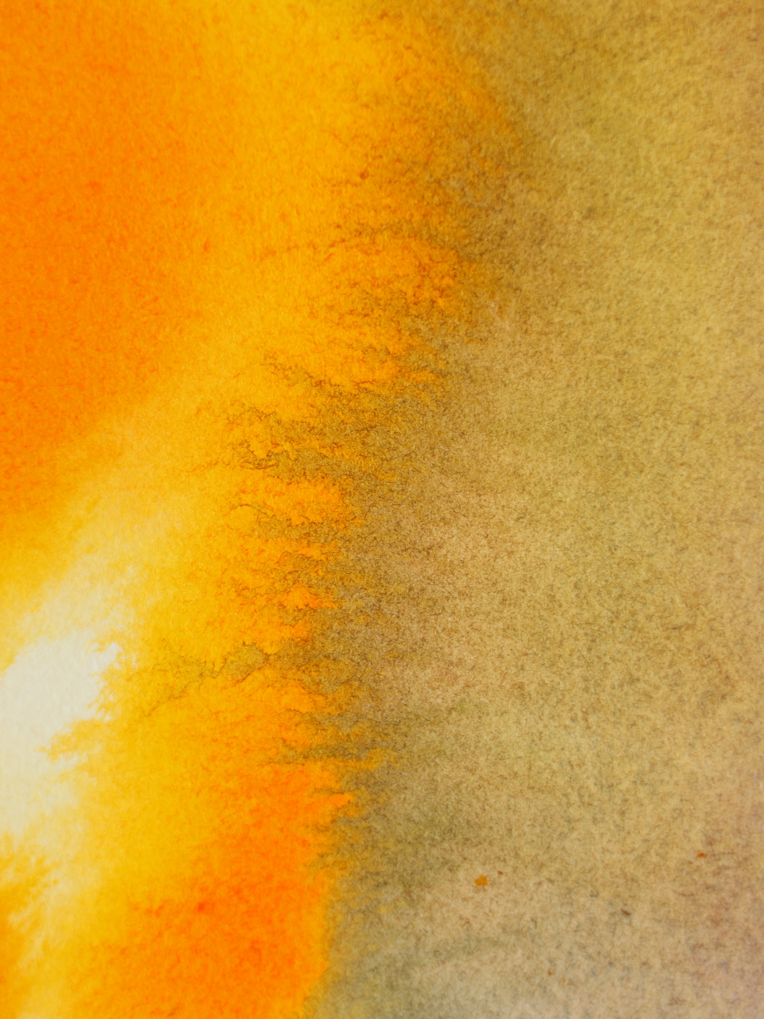 Abstract 43