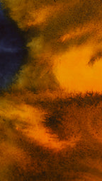 Abstract 47