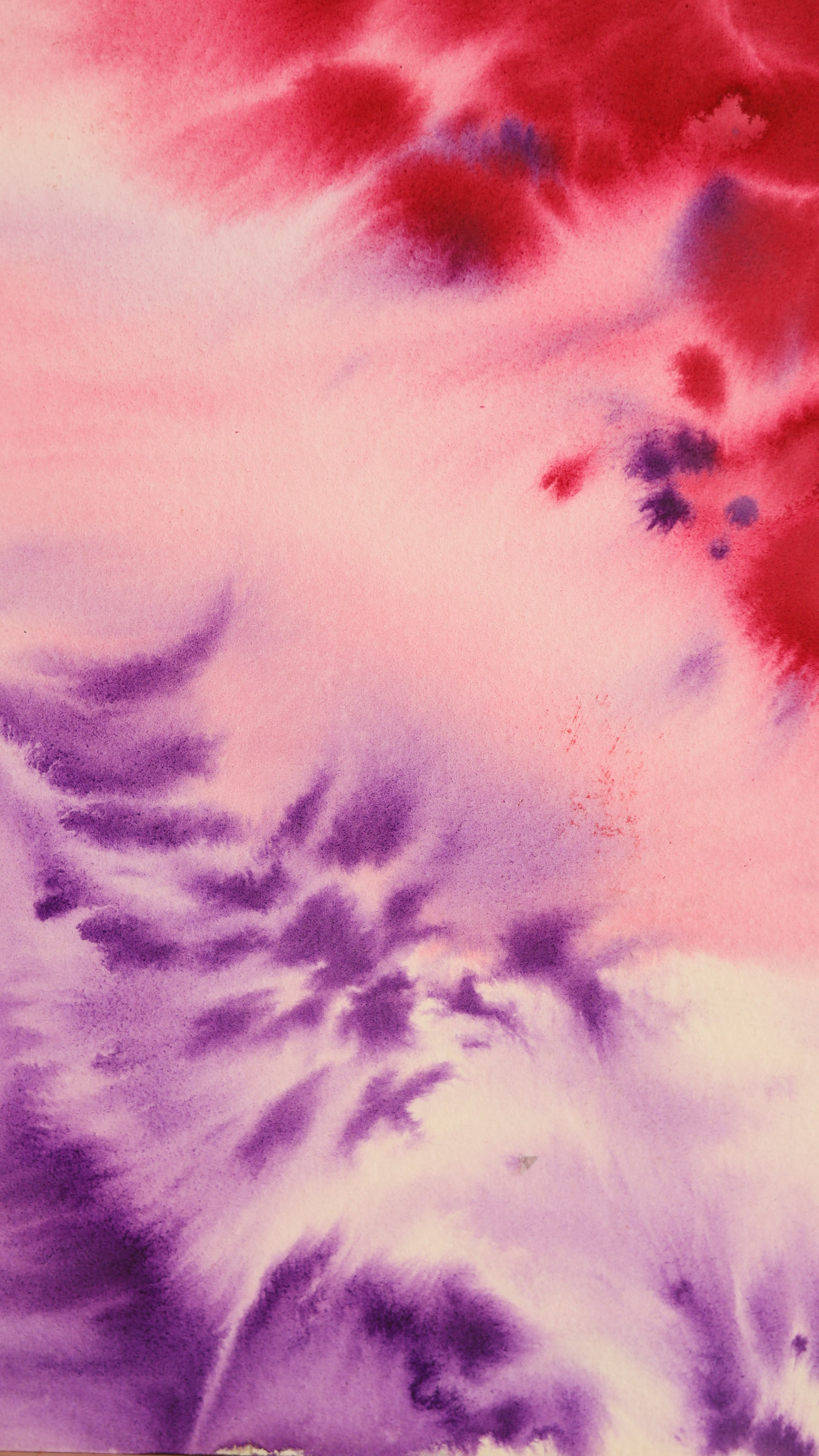 Abstract 49