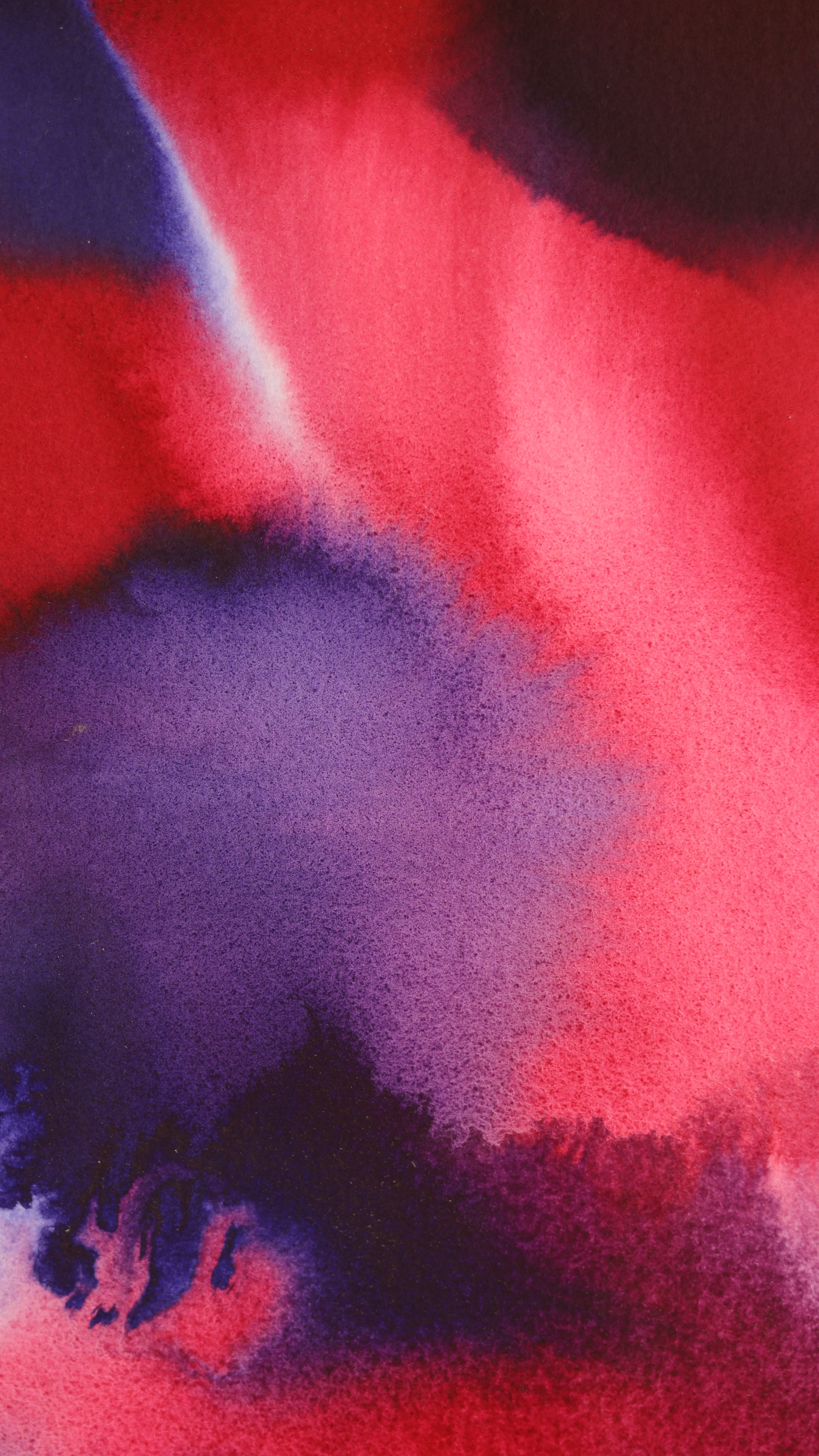 Abstract 50