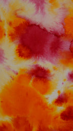 Abstract 51
