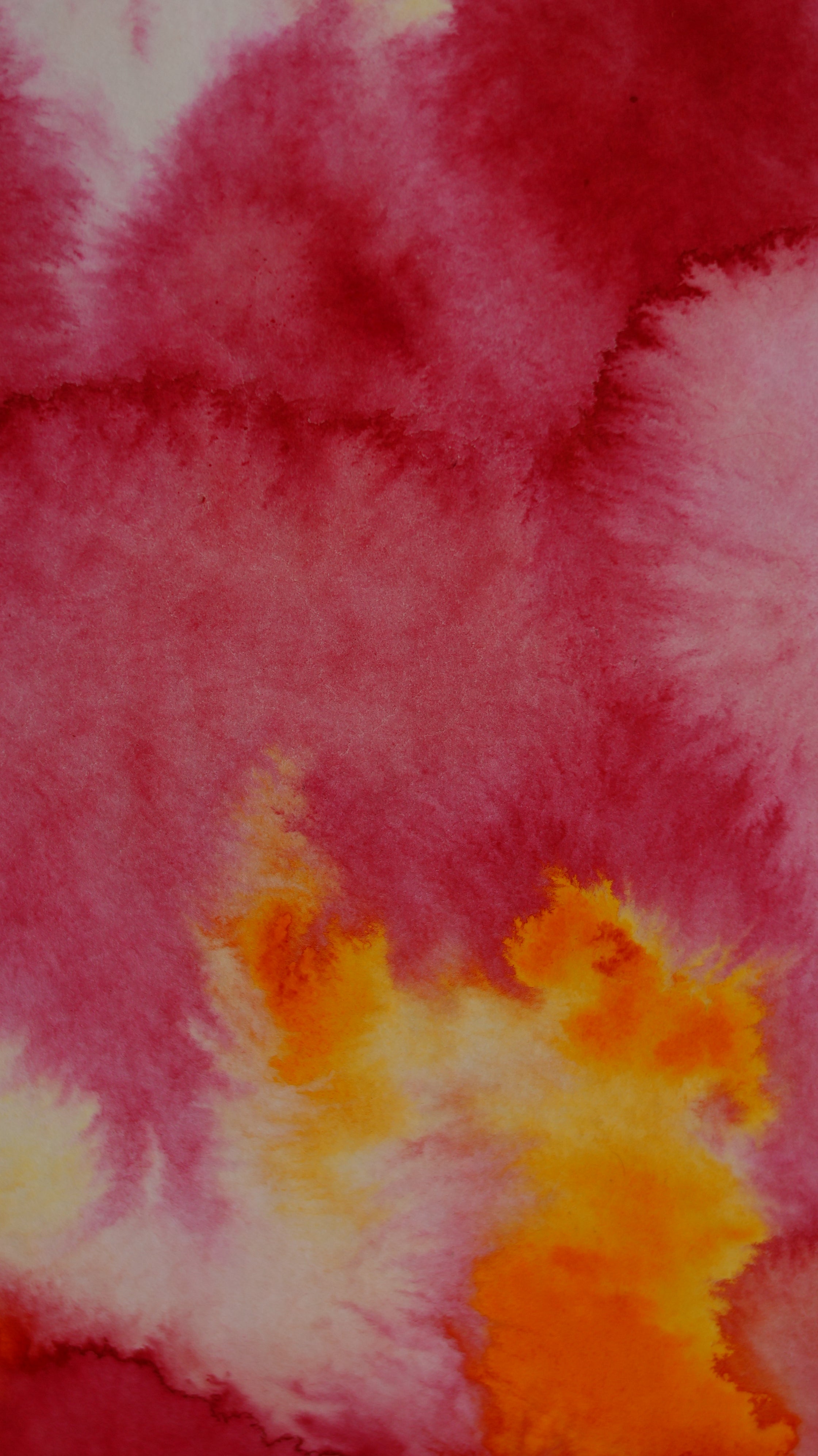 Abstract 51