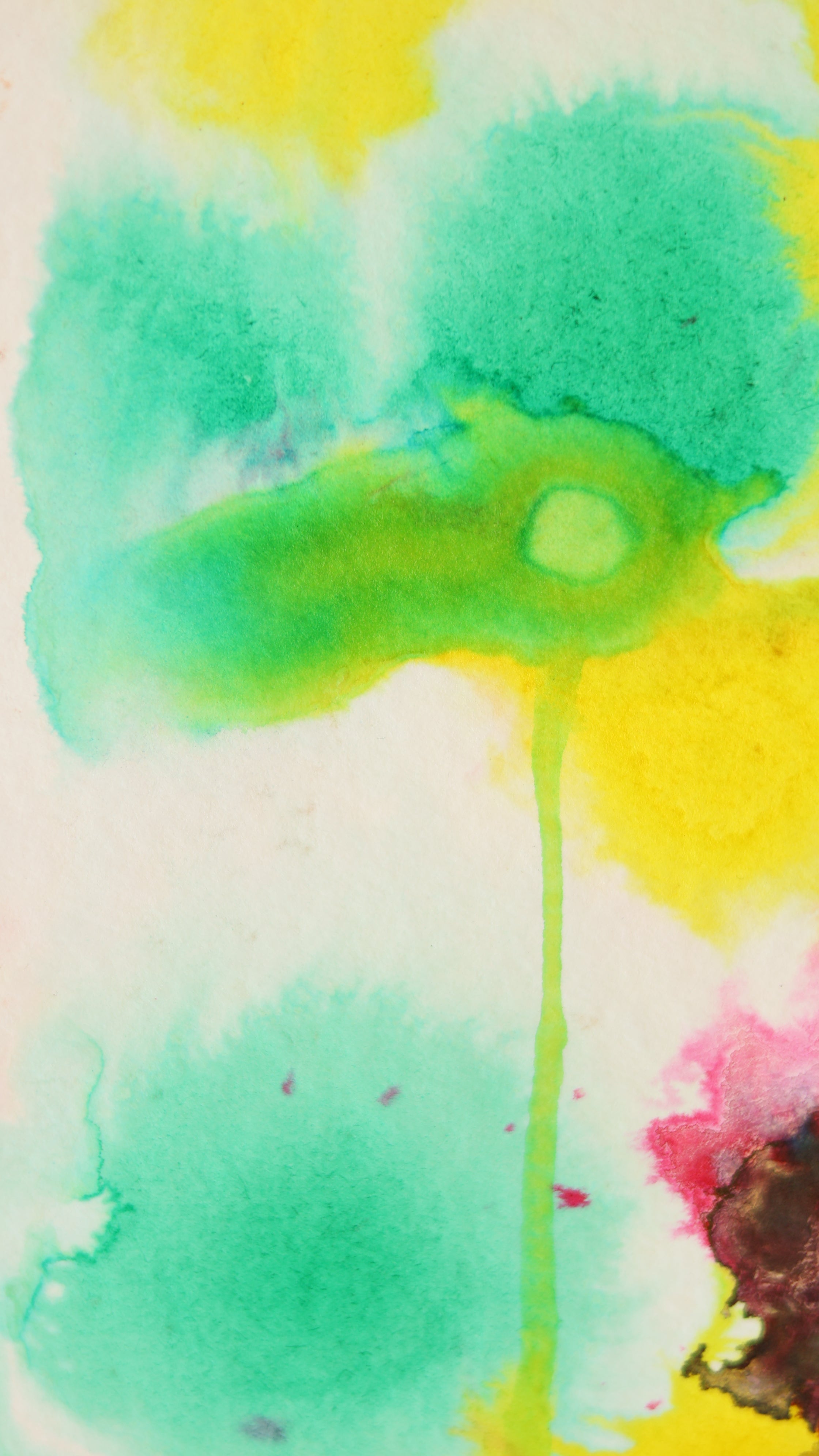 Abstract 53