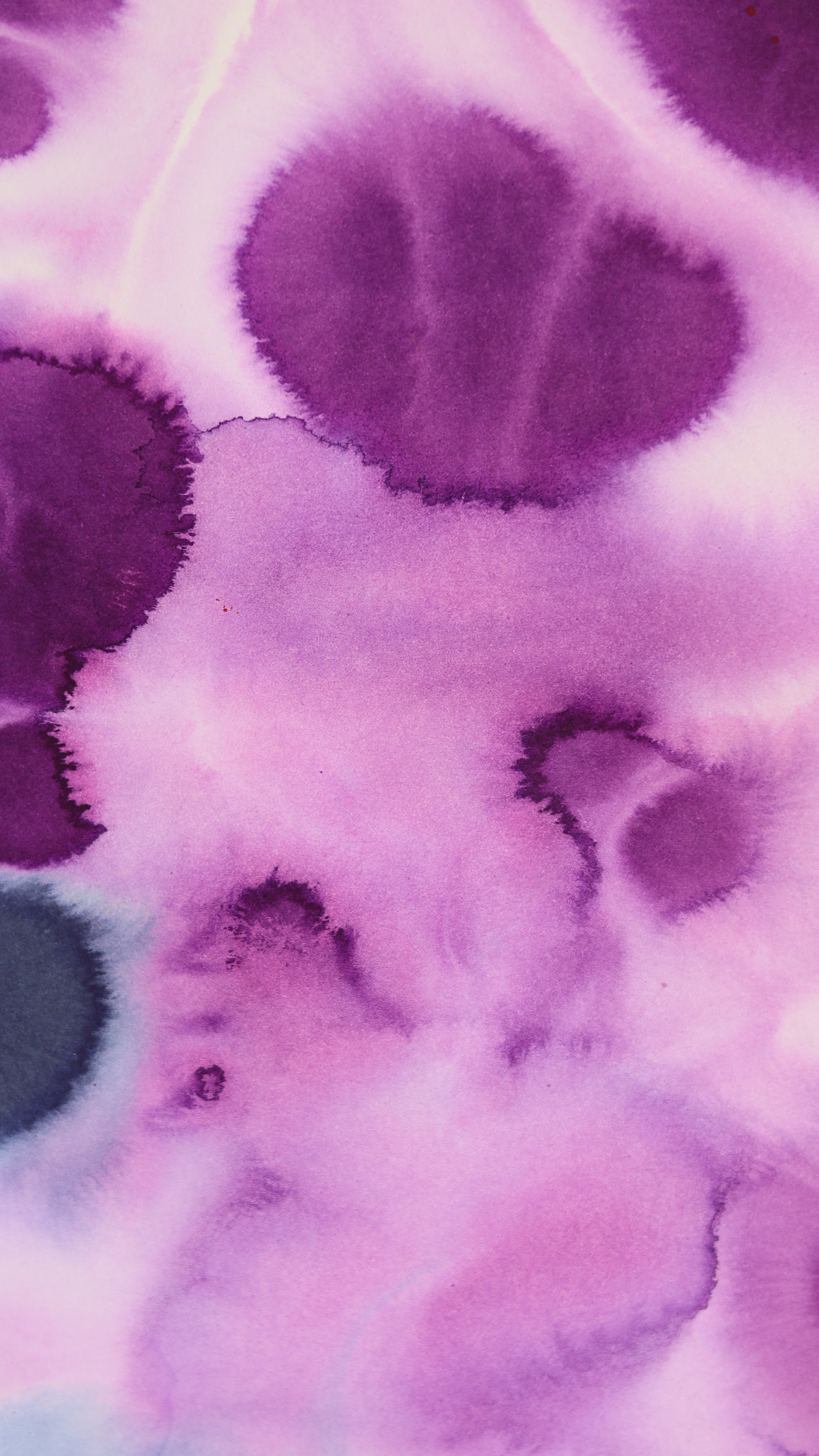 Abstract 54