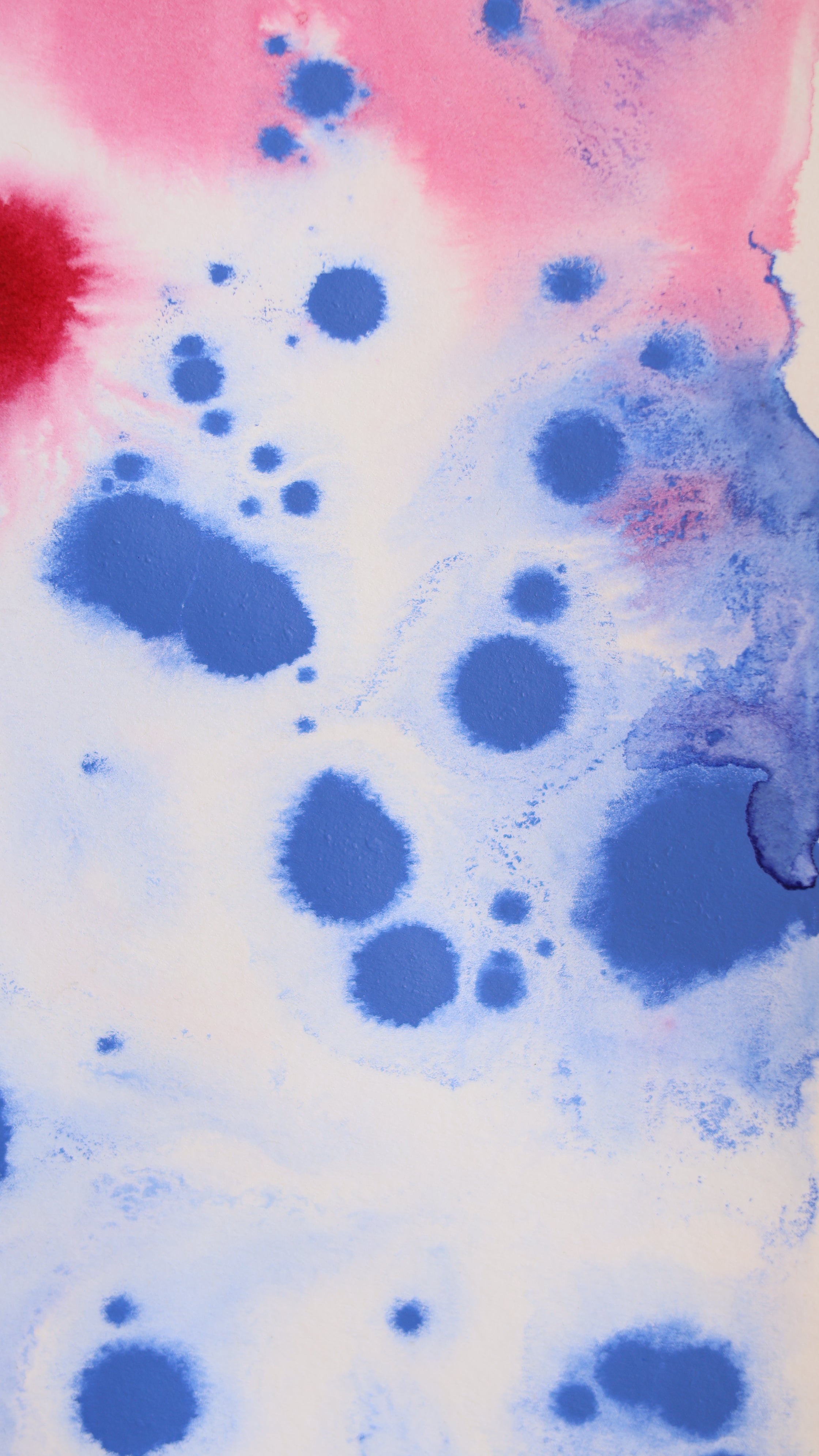 Abstract 55