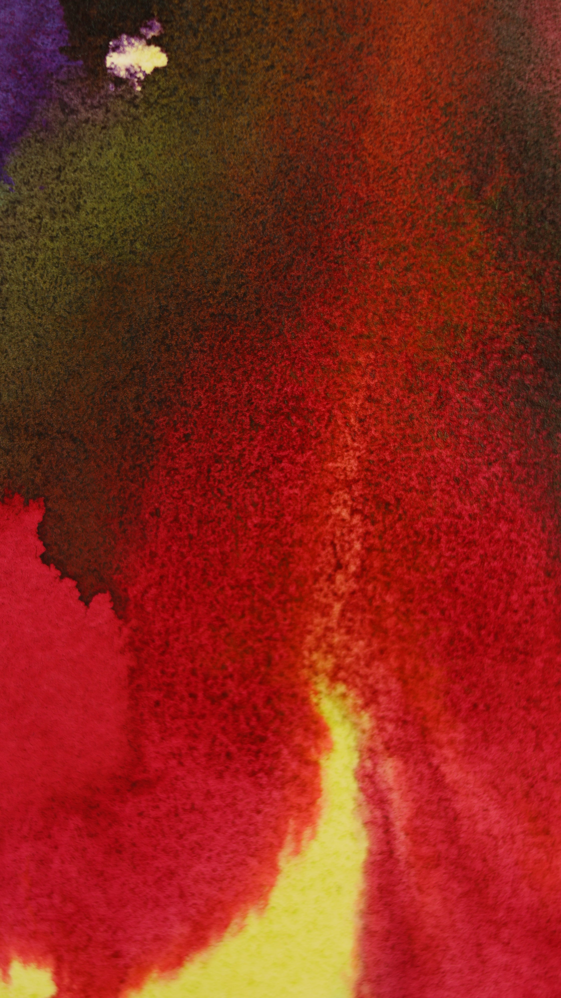 Abstract 56