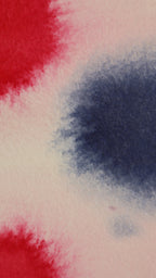 Abstract 60