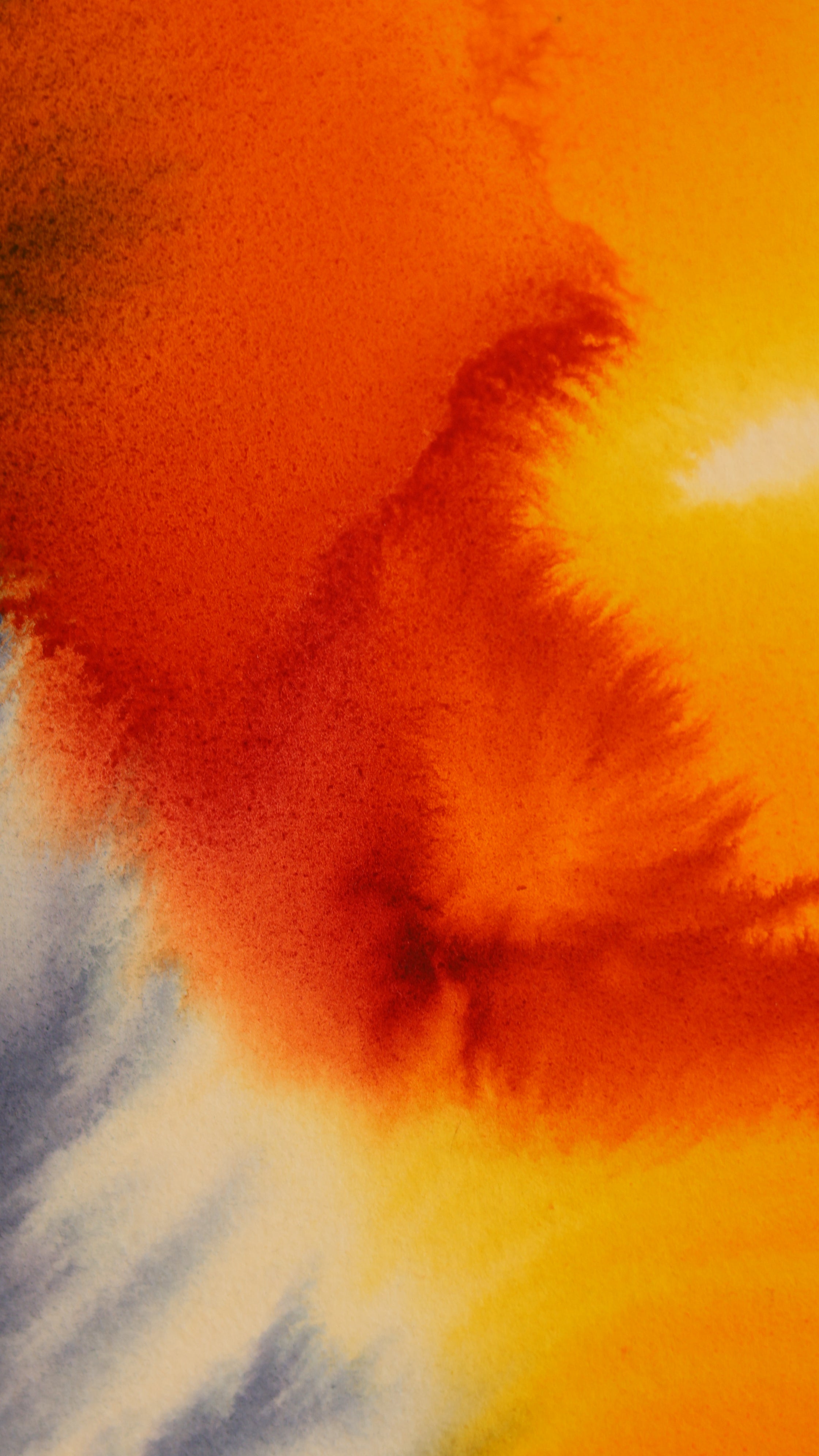 Abstract 61