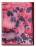 Abstract 38